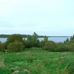 Zwischen Den Seen *